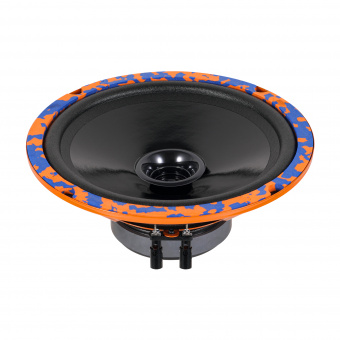 20: DL Audio Gryphon Lite 200 V.3 эстрадная акустика