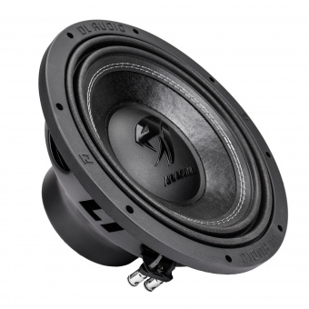30: Сабвуфер DL Audio Anaconda 12